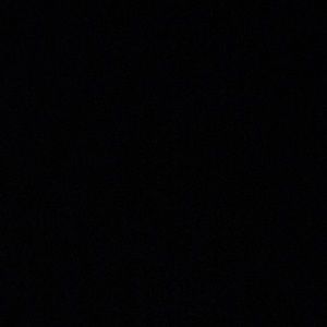 Meet your Posher, Daisy